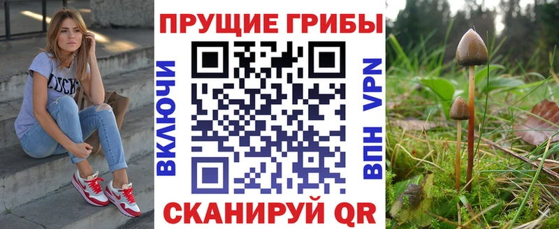 Купить закладки  Курганинск  Псилоцибиновые грибы мухоморы 